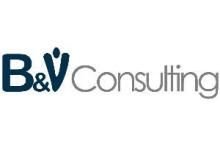 B&V Consulting