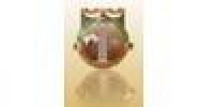 Corporación Universitaria Republicana