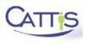 Cattis Consultores
