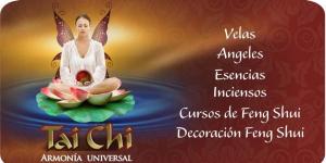 TAI CHI Armonía Universal