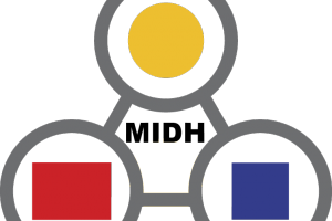 MODELO MIDH