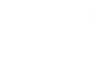 Fundación de Educación Superior