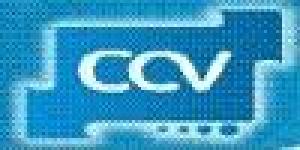 Centro de Capacitación Virtual