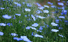 Máster Universitario en Ingeniería y Gestión Ambiental