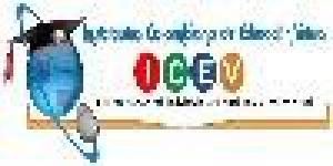 Instituto Colombiano de Educacion Virtual