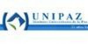 Instituto Universitario de la Paz