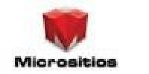 Micrositios Ltda