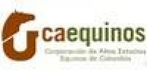 Caequinos