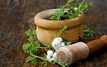 Maestría Internacional en Homeopatía y Fitoterapia ↓
