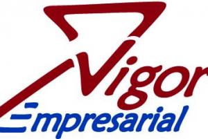 Vigor Empresarial