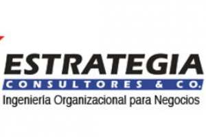 Estrategia Consultores & Co