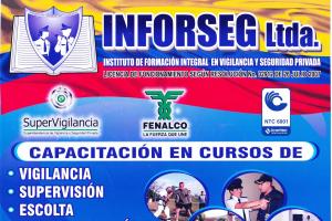 Inforseg