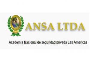ANSA