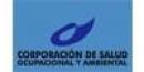 Corporación de Salud Ocupacional y Ambiental