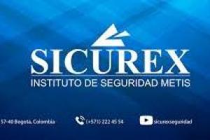 Sicurex Instituto de Seguridad Metis