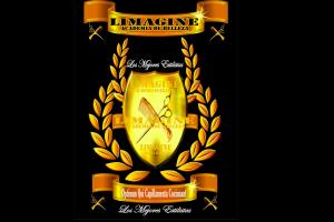 Academia de Belleza Limagine 