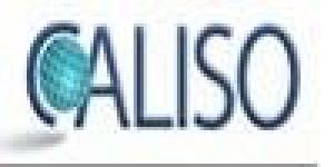 Caliso - Worldwide Consulting & Training