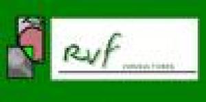 RVFCONSULTORES