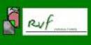 RVFCONSULTORES